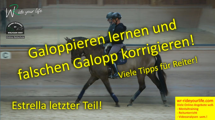F208 Estrella 4: So kannst du dein Pferd Reiten lernen und auch den Galopp verbessern oder falschen Galopp korrigieren.